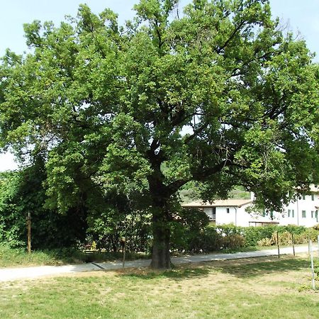 ברדולינו Agriturismo Ca' Castellani מראה חיצוני תמונה