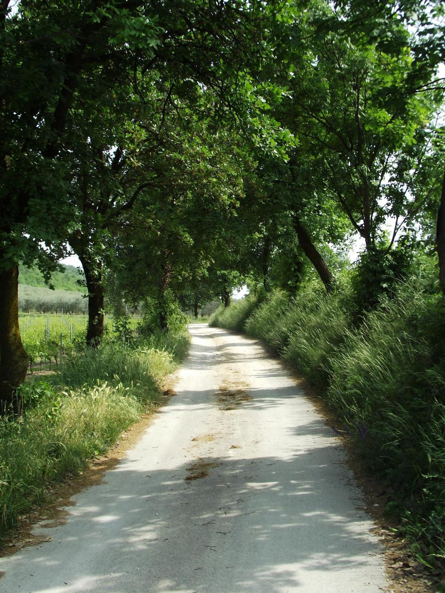 ברדולינו Agriturismo Ca' Castellani מראה חיצוני תמונה